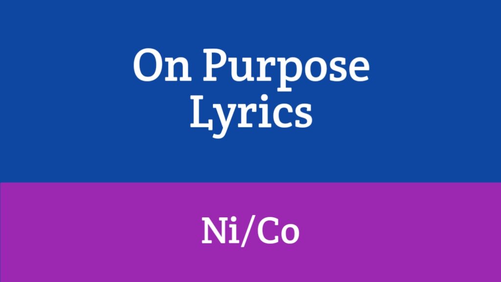 On Purpose Lyrics - Ni/Co